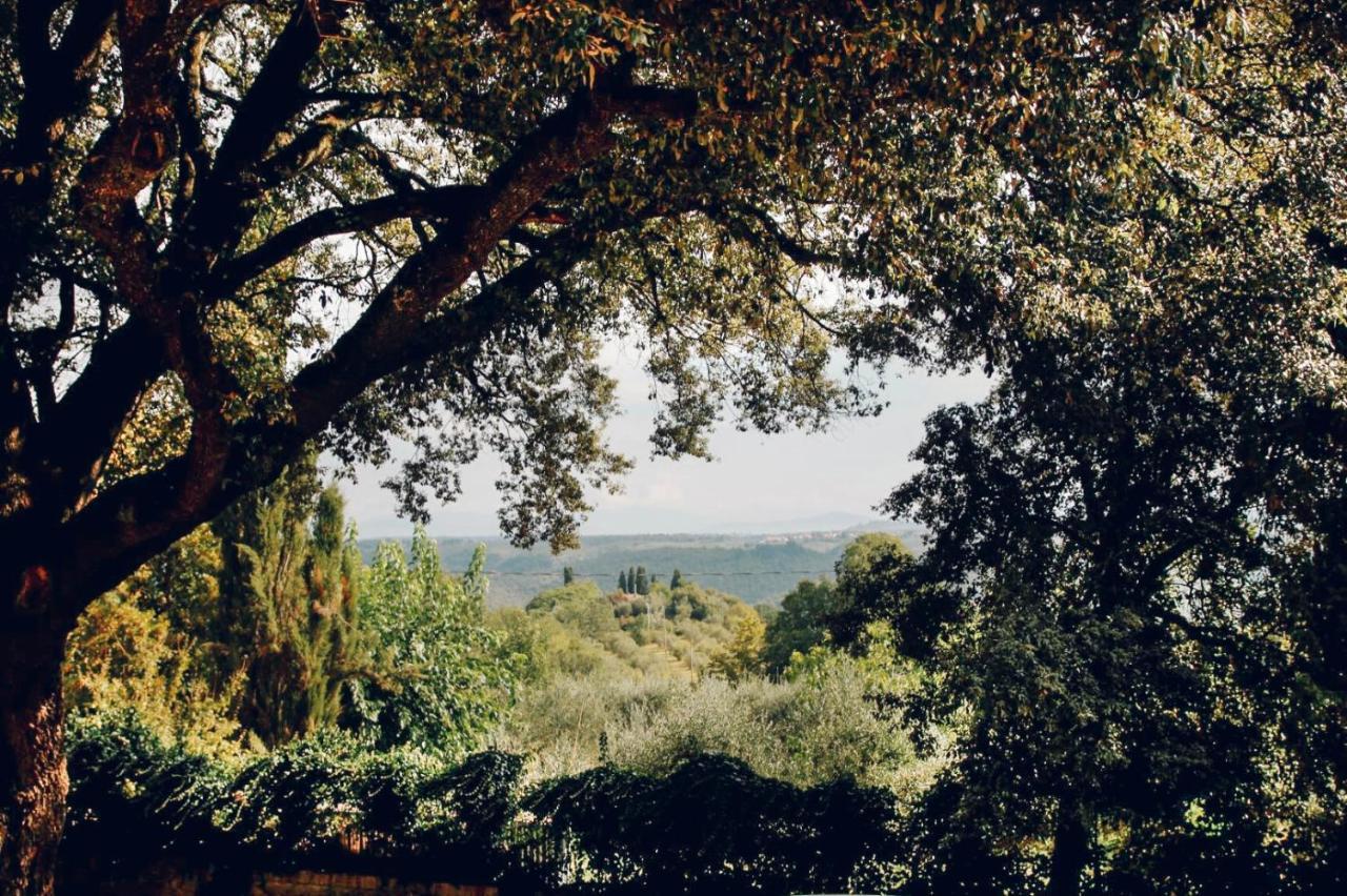Villa Moris Bed And Breakfast Tavarnelle Val di Pesa Exterior photo